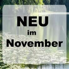 NEU im November