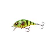 Savage Gear 3D Goby Crank SR 50mm Firetiger