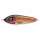 Abu Garcia Svartzonker McJerk 12cm Real Steelhead