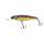 Illex Squirrel DD 67 SP HL Gold Perch