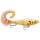 Rapala X-Rap Otus PGG Perl Ghost Gold