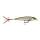 Rapala X-Rap 10cm ROL,  Live Roach