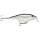 Rapala Shallow Shad Rap 9cm ALB,  Bleak