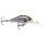 Rapala Shadow Rap Fat Jack ROL,  Live Roach