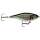 Rapala X-Rap Twitchin Shad 8cm ROL, Live Roach