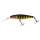 Illex Squirrel DD 79 SP Zander Bee