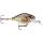 Rapala X-Light Crank MR ROL - Live Roach