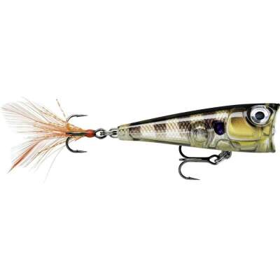 Rapala X-Light Pop 4cm GGIU - Glassy Gill UV