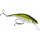 Westin P10 SR Fire Craw