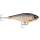 Rapala Super Shadow Rap Jerk 11cm  HLW - Halloween