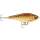 Rapala Super Shadow Rap Jerk 11cm  TRL - Live Brown Trout